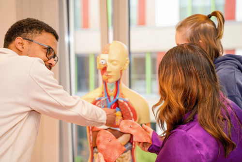 Junge Auszubildende in der Pflege lernen Anatomie